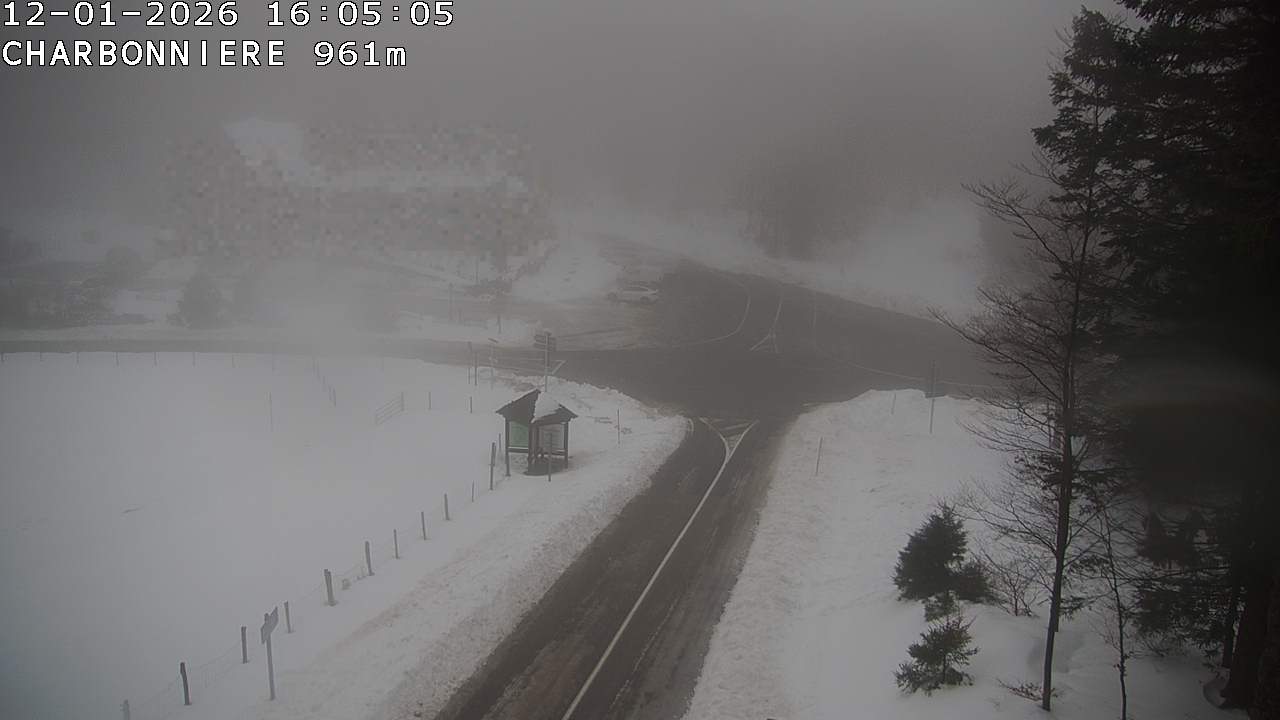 Webcam du col de la Charbonnière dans les Vosges en direction de la station du Champ du feu. Vue sur le D214 et la Tour du Champ du feu. Col de montagne à 961 mètres d'altitude