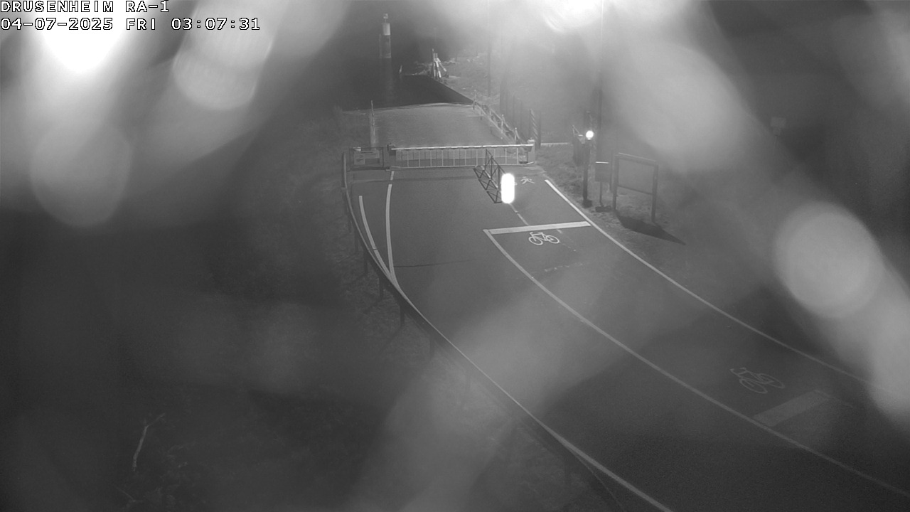 Webcam donnant sur la rampe d'embarquement du bac de Drusenheim