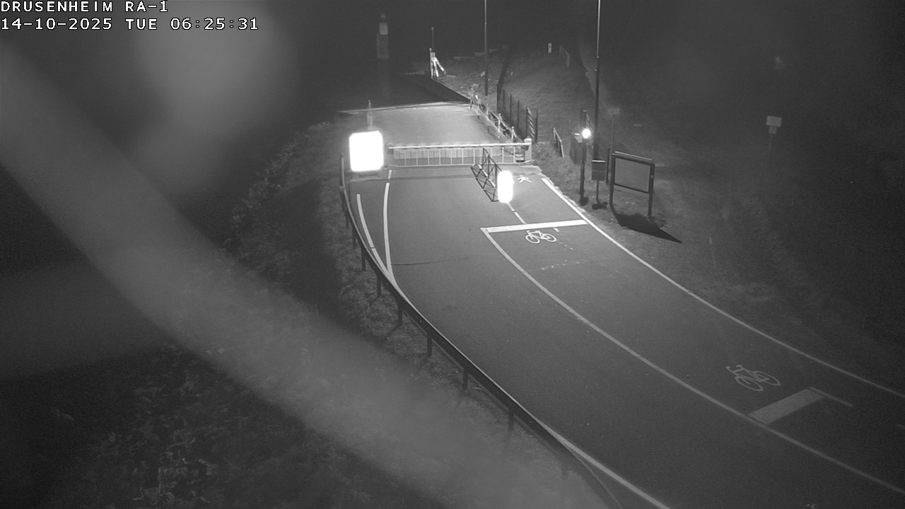 <h2>Webcam donnant sur la rampe d'embarquement du bac de Drusenheim</h2>