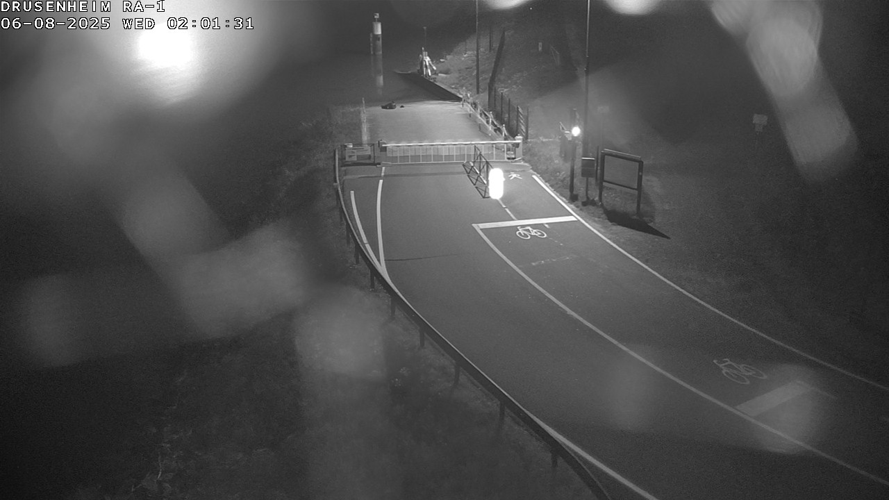 Webcam donnant sur la rampe d'embarquement du bac de Drusenheim