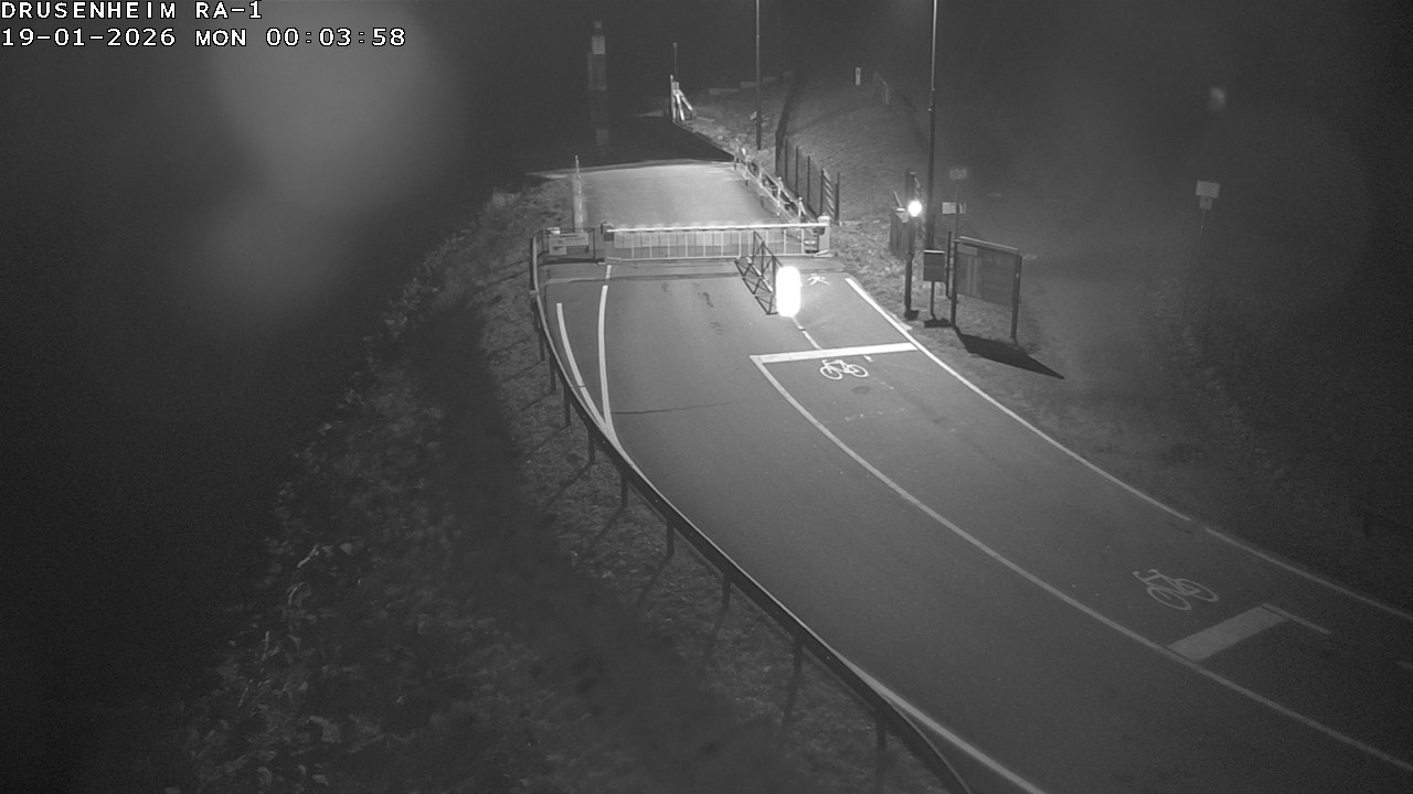 Webcam donnant sur la rampe d'embarquement du bac de Drusenheim