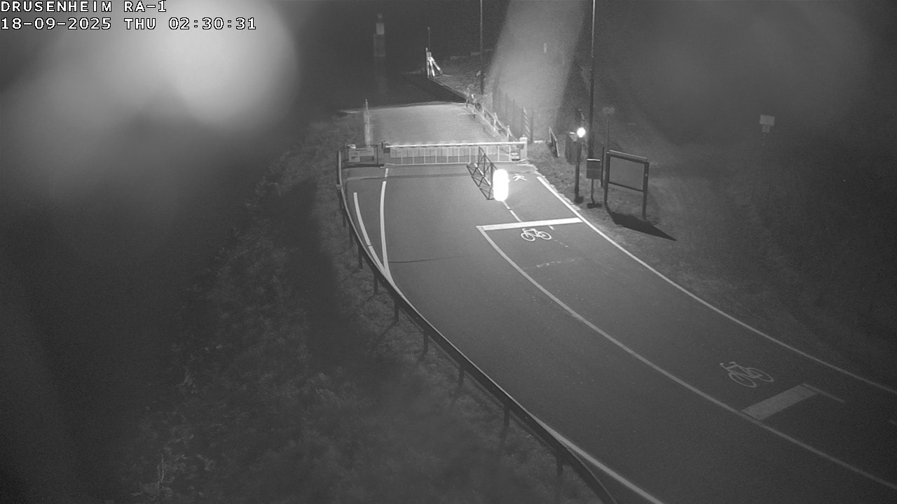 <h2>Webcam donnant sur la rampe d'embarquement du bac de Drusenheim</h2>