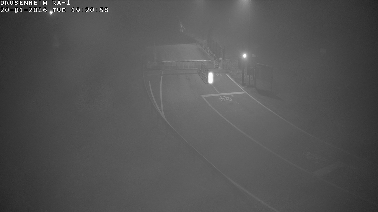 Webcam donnant sur la rampe d'embarquement du bac de Drusenheim