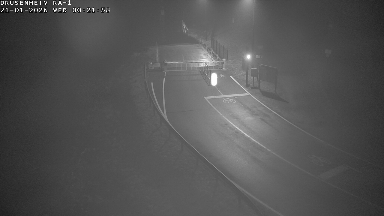 Webcam donnant sur la rampe d'embarquement du bac de Drusenheim