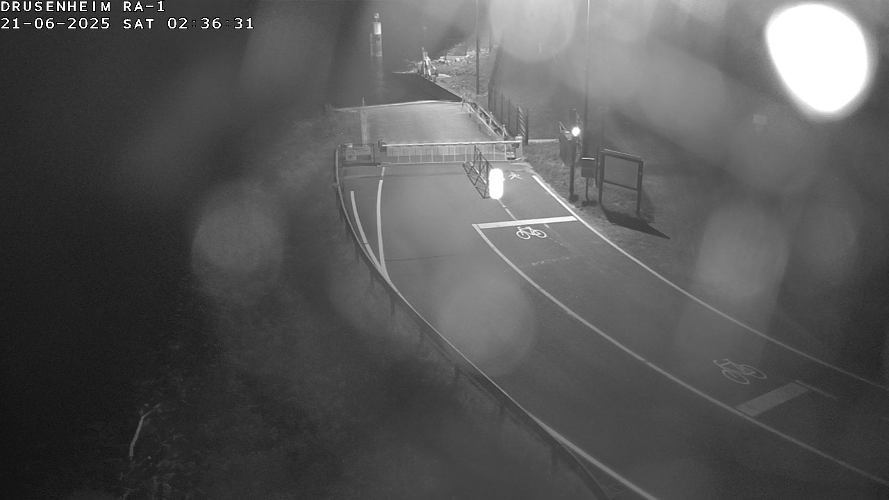 Webcam donnant sur la rampe d'embarquement du bac de Drusenheim