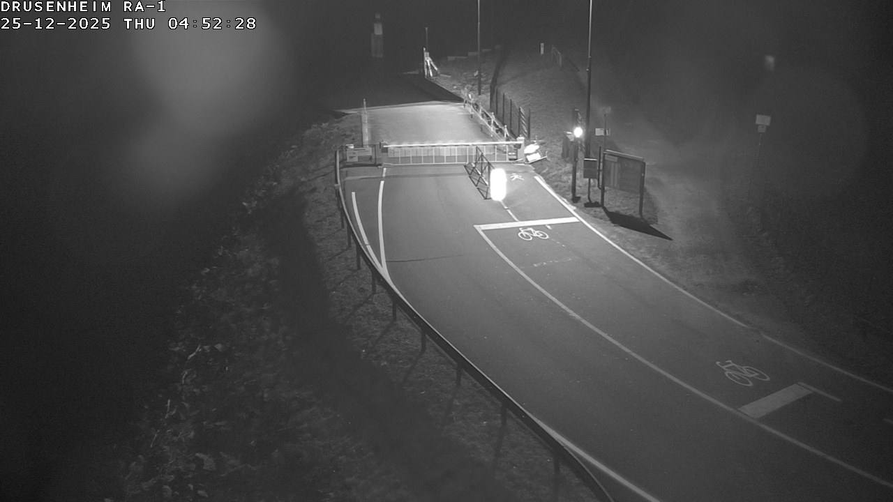 Webcam donnant sur la rampe d'embarquement du bac de Drusenheim