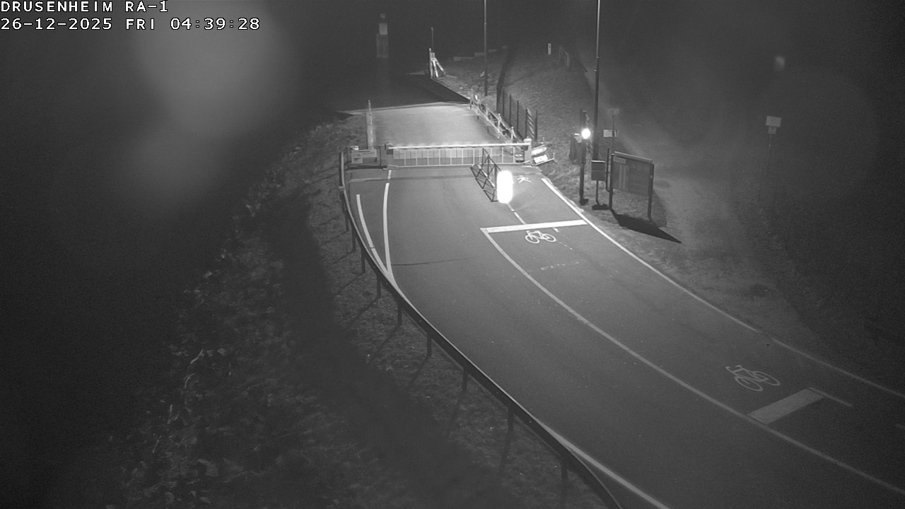 Webcam donnant sur la rampe d'embarquement du bac de Drusenheim