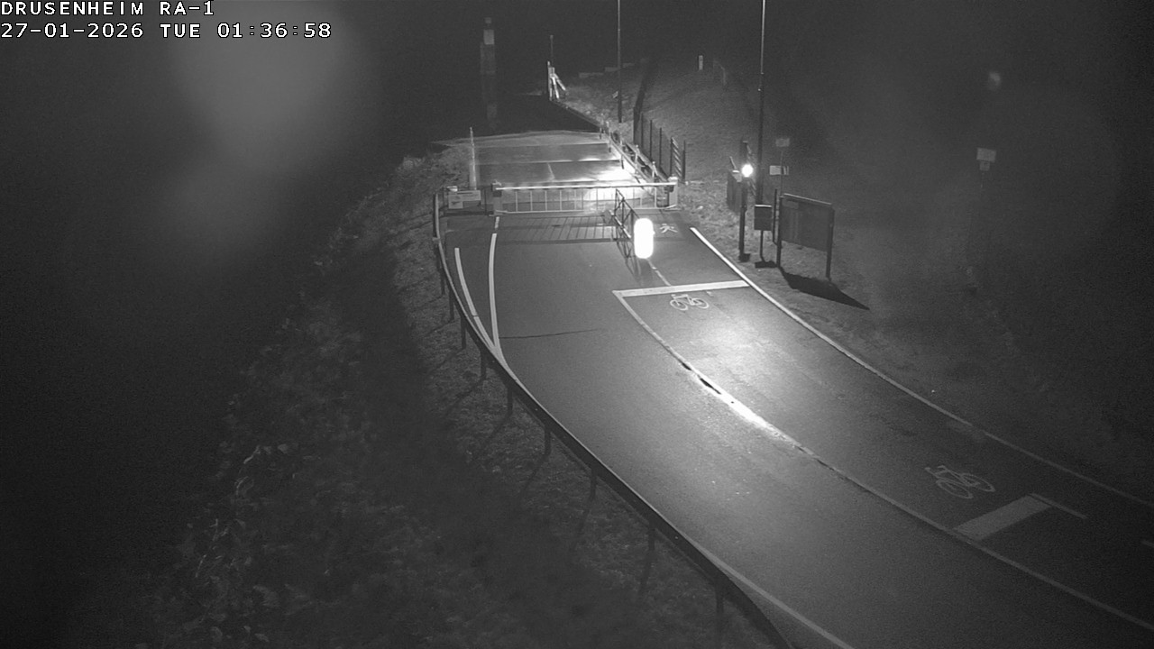 <h2>Webcam donnant sur la rampe d'embarquement du bac de Drusenheim</h2>