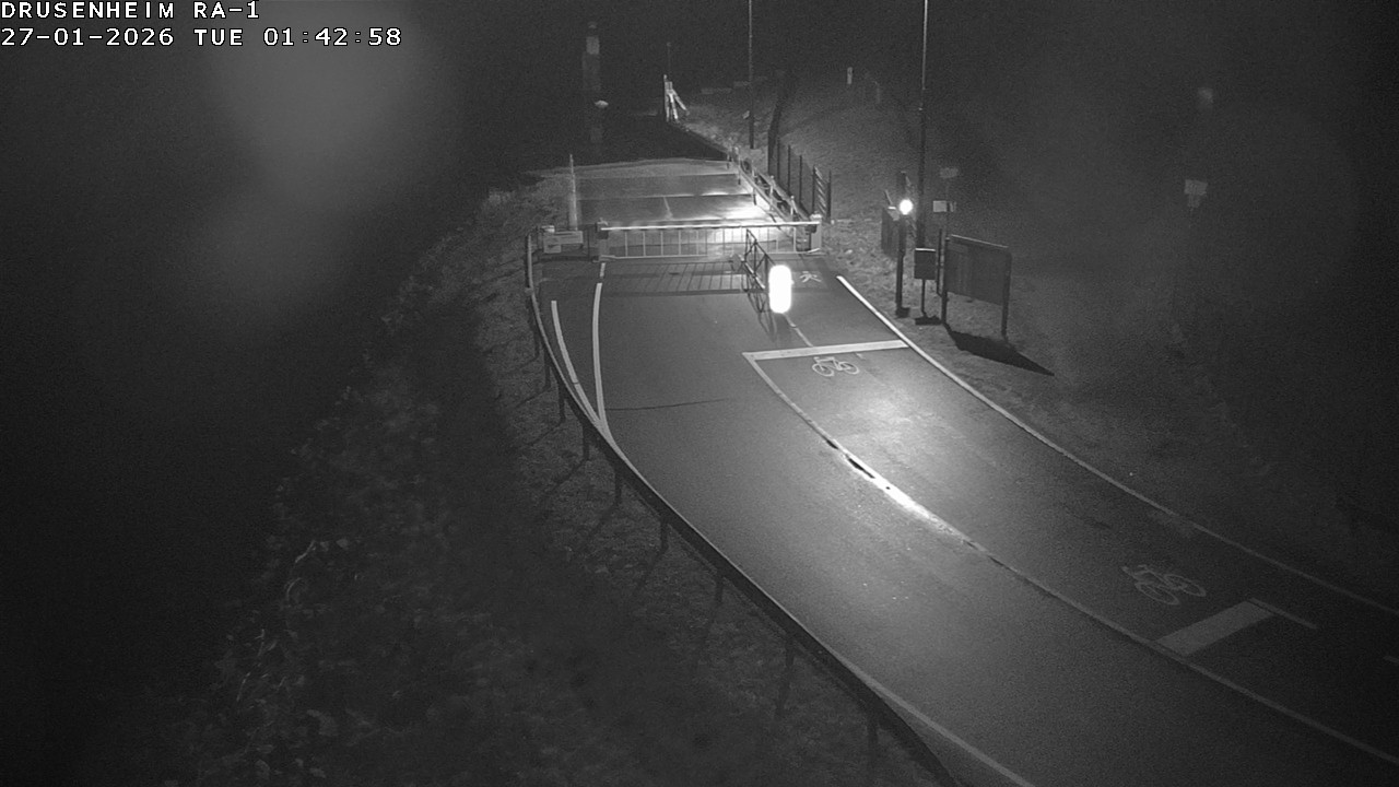 <h2>Webcam donnant sur la rampe d'embarquement du bac de Drusenheim</h2>