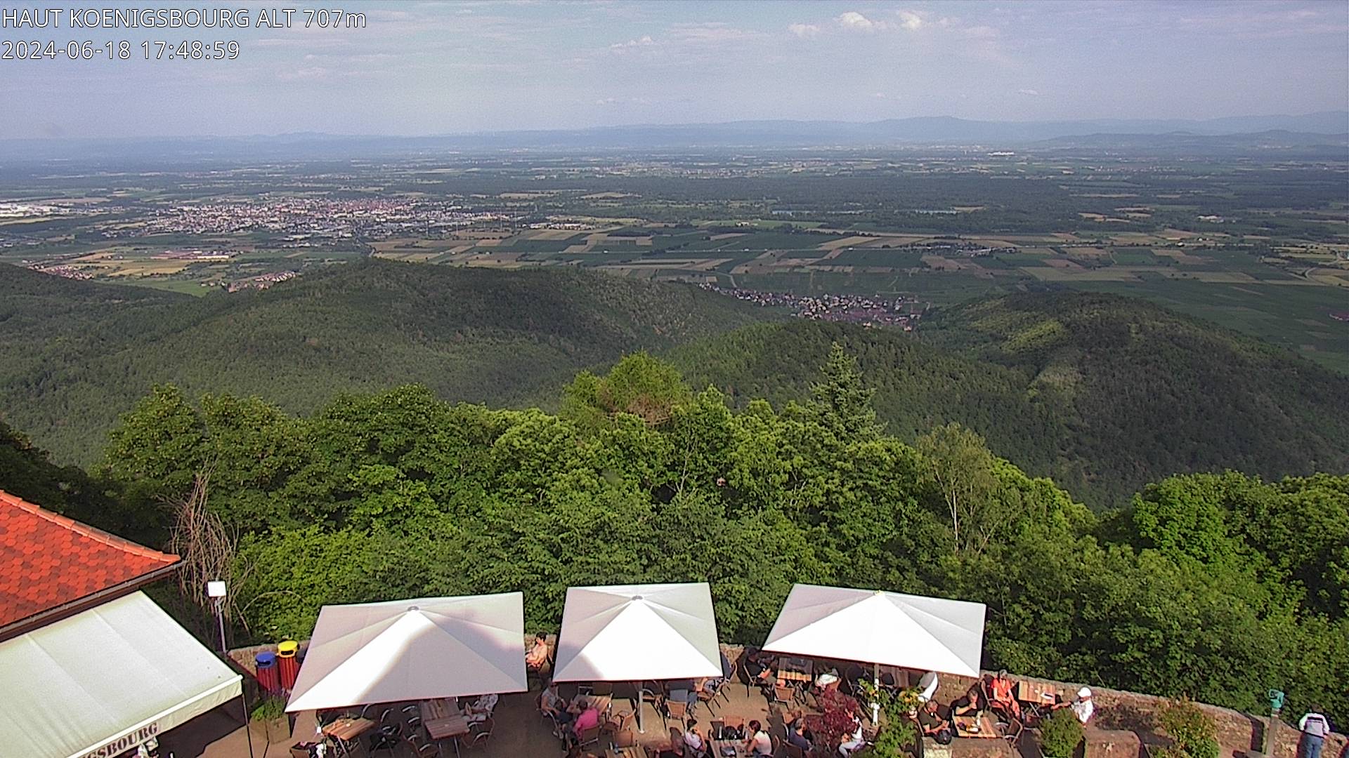 Webcam depuis le Château du Haut-Koenigsbourg à 700 mètres d'altitude, sur la D159