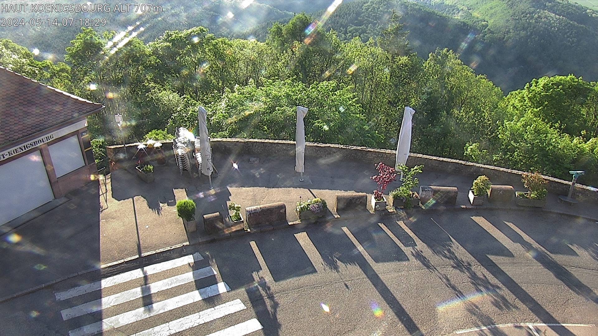 Webcam depuis le Château du Haut-Koenigsbourg à 700 mètres d'altitude, sur la D159