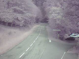Webcam à proximité du col de Pandours, au niveau de la Maison Forestière du Nideck, sur la D218