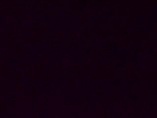 <h2>Webcam à proximité du col de Pandours, au niveau de la Maison Forestière du Nideck, sur la D218</h2>