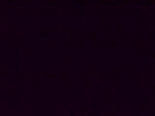 <h2>Webcam à proximité du col de Pandours, au niveau de la Maison Forestière du Nideck, sur la D218</h2>