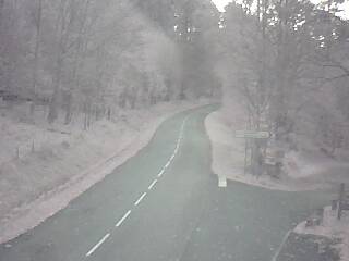 <h2>Webcam à proximité du col de Pandours, au niveau de la Maison Forestière du Nideck, sur la D218</h2>