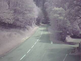Webcam à proximité du col de Pandours, au niveau de la Maison Forestière du Nideck, sur la D218
