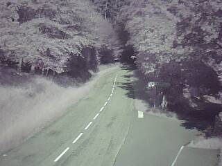 Webcam à proximité du col de Pandours, au niveau de la Maison Forestière du Nideck, sur la D218