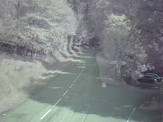Webcam à proximité du col de Pandours, au niveau de la Maison Forestière du Nideck, sur la D218