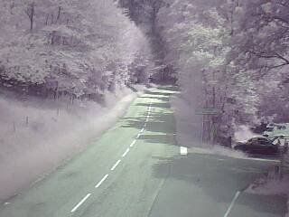 Webcam à proximité du col de Pandours, au niveau de la Maison Forestière du Nideck, sur la D218