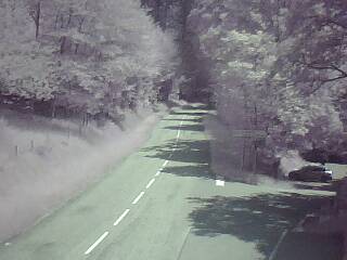 <h2>Webcam à proximité du col de Pandours, au niveau de la Maison Forestière du Nideck, sur la D218</h2>