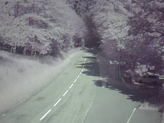 Webcam à proximité du col de Pandours, au niveau de la Maison Forestière du Nideck, sur la D218