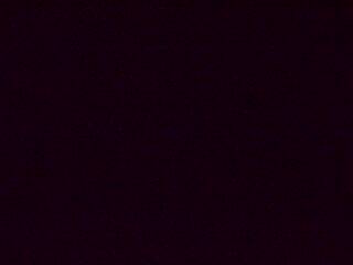 Webcam à proximité du col de Pandours, au niveau de la Maison Forestière du Nideck, sur la D218