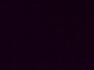 <h2>Webcam à proximité du col de Pandours, au niveau de la Maison Forestière du Nideck, sur la D218</h2>