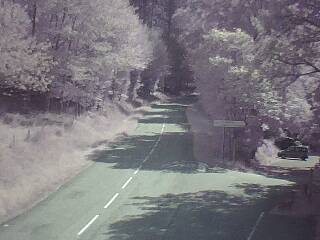 <h2>Webcam à proximité du col de Pandours, au niveau de la Maison Forestière du Nideck, sur la D218</h2>