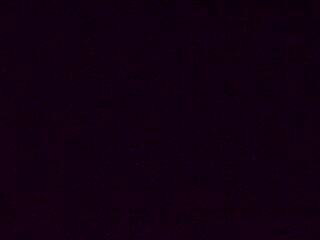 <h2>Webcam à proximité du col de Pandours, au niveau de la Maison Forestière du Nideck, sur la D218</h2>