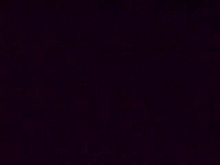 <h2>Webcam à proximité du col de Pandours, au niveau de la Maison Forestière du Nideck, sur la D218</h2>