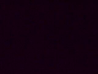 <h2>Webcam à proximité du col de Pandours, au niveau de la Maison Forestière du Nideck, sur la D218</h2>