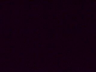 <h2>Webcam à proximité du col de Pandours, au niveau de la Maison Forestière du Nideck, sur la D218</h2>
