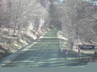 <h2>Webcam à proximité du col de Pandours, au niveau de la Maison Forestière du Nideck, sur la D218</h2>