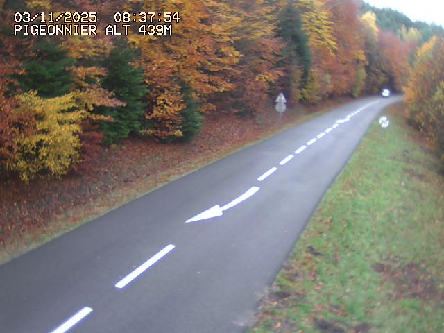 Webcam routière au niveau du col du Pigeonnier sur la D3 en direction de Wissembourg