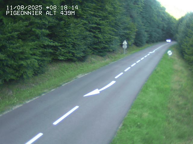 <h2>Webcam routière au niveau du col du Pigeonnier sur la D3 en direction de Wissembourg</h2>