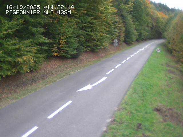 <h2>Webcam routière au niveau du col du Pigeonnier sur la D3 en direction de Wissembourg</h2>