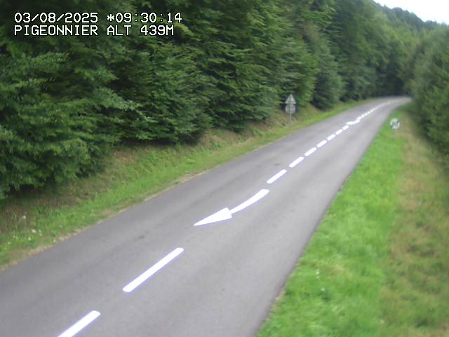 Webcam routière au niveau du col du Pigeonnier sur la D3 en direction de Wissembourg