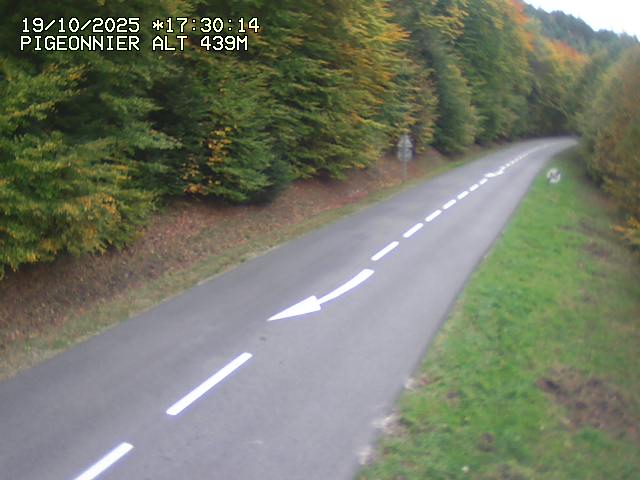 <h2>Webcam routière au niveau du col du Pigeonnier sur la D3 en direction de Wissembourg</h2>