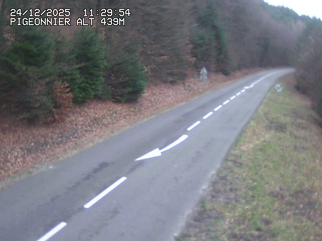 Webcam routière au niveau du col du Pigeonnier sur la D3 en direction de Wissembourg