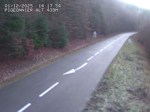<h2>Webcam routière au niveau du col du Pigeonnier sur la D3 en direction de Wissembourg</h2>