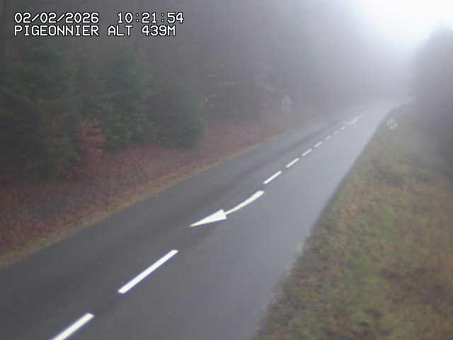 <h2>Webcam routière au niveau du col du Pigeonnier sur la D3 en direction de Wissembourg</h2>