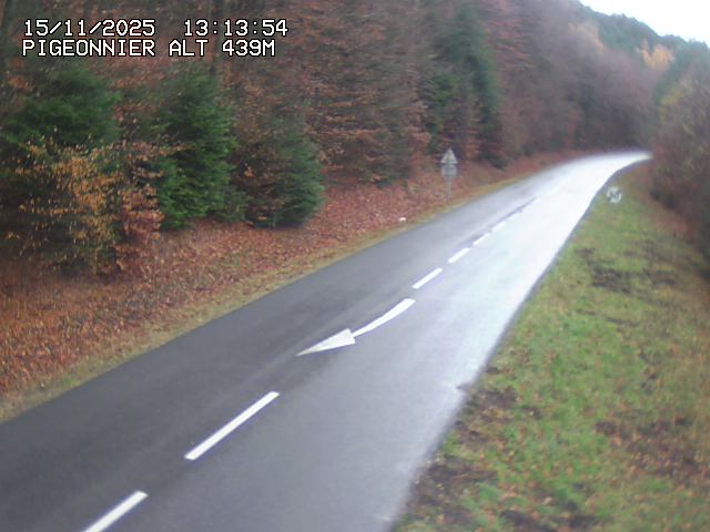 <h2>Webcam routière au niveau du col du Pigeonnier sur la D3 en direction de Wissembourg</h2>