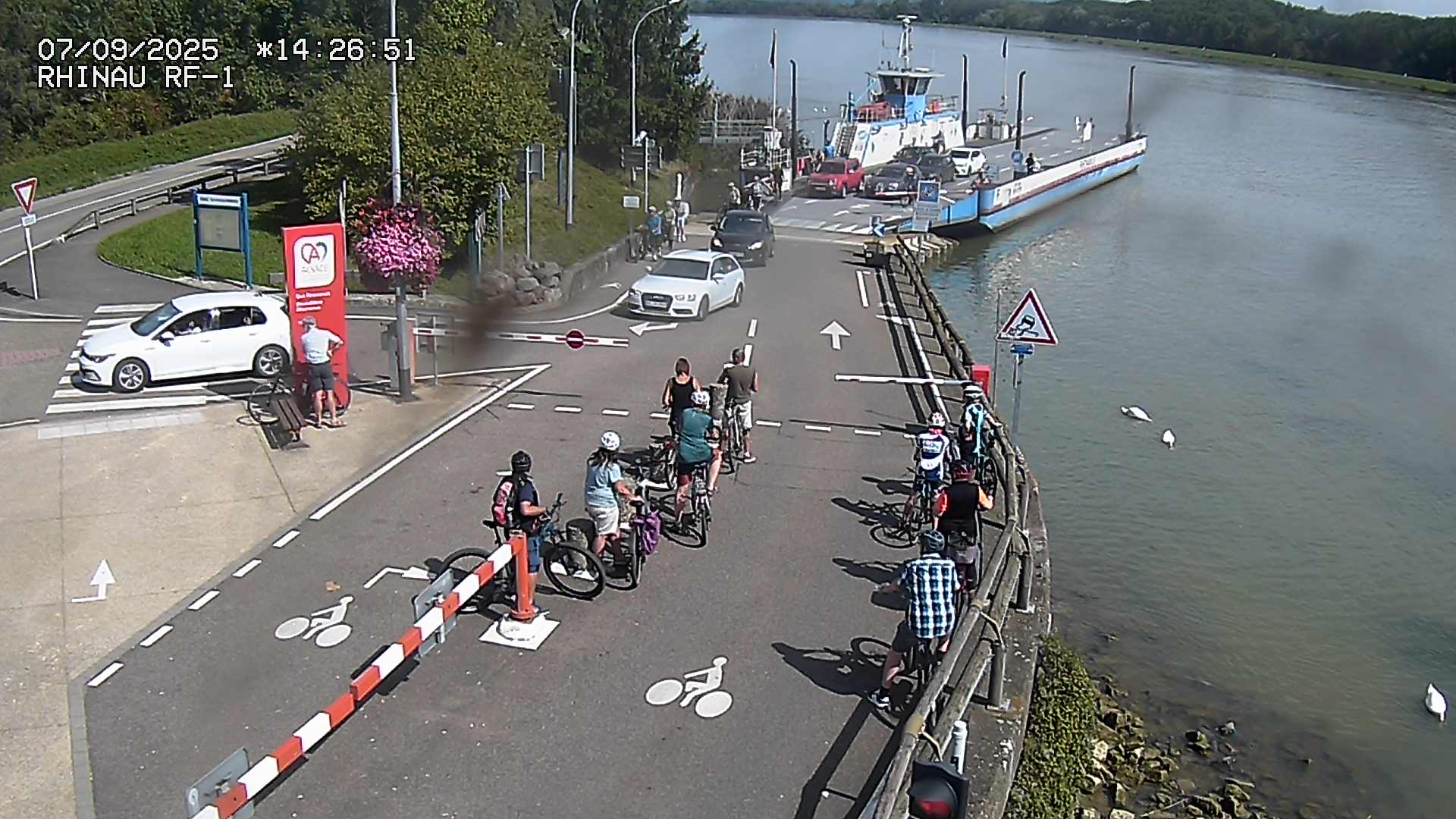 Webcam du bac de Rhinau-Kappel. Vue avant le quai d'embarquement du côté français, à la jonction entre la D20 et la D5. Vue orientée vers Benfeld