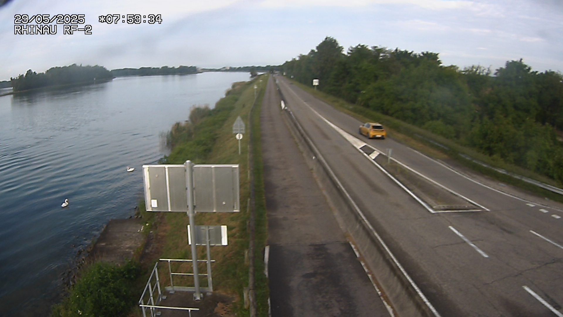Webcam du bac de Rhinau-Kappel. Vue avant le quai d'embarquement du côté allemand. Vue orientée vers Kappel