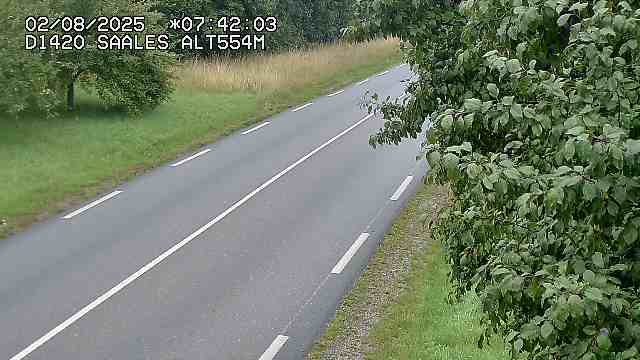 Webcam au niveau du col de Saales, à la limite entre le département des Vosges et celui du Bas-Rhin