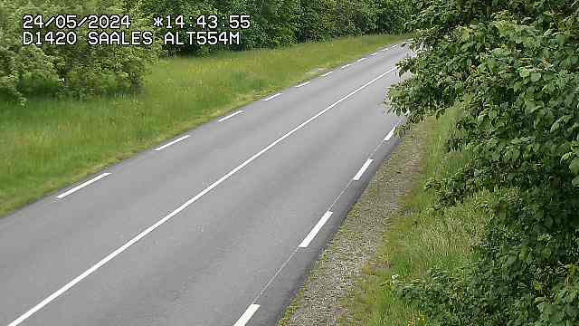 Webcam au niveau du col de Saales, à la limite entre le département des Vosges et celui du Bas-Rhin