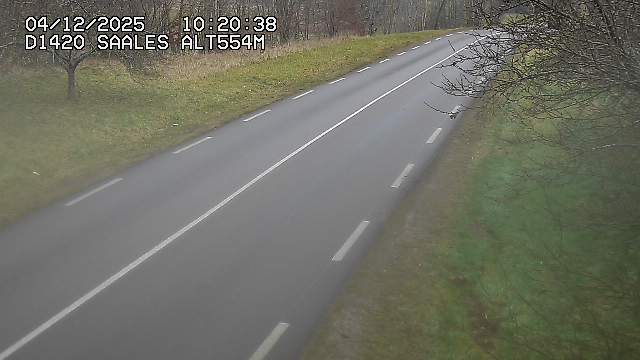 Webcam au niveau du col de Saales, à la limite entre le département des Vosges et celui du Bas-Rhin