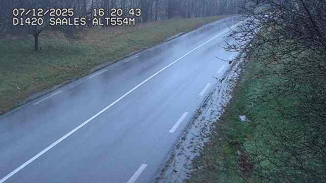 <h2>Webcam au niveau du col de Saales, à la limite entre le département des Vosges et celui du Bas-Rhin</h2>