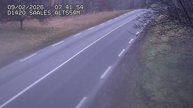 Webcam au niveau du col de Saales, à la limite entre le département des Vosges et celui du Bas-Rhin