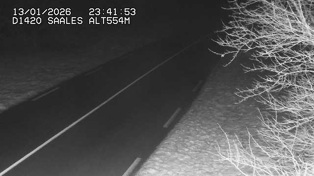 Webcam au niveau du col de Saales, à la limite entre le département des Vosges et celui du Bas-Rhin